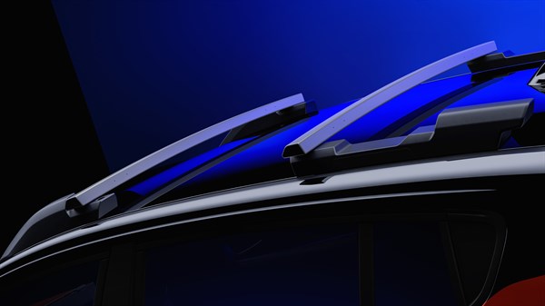 barres de toit modulables - Renault Kardian